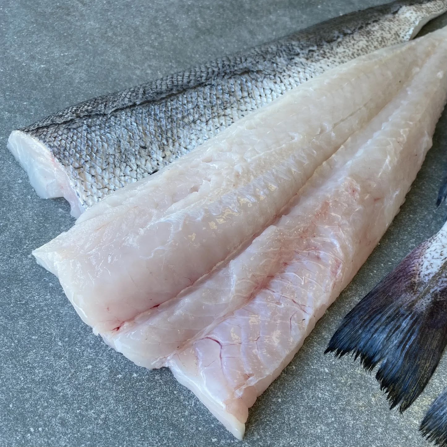 Cape hake catch Letap Fishing